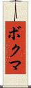 ボクマ Scroll