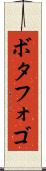 ボタフォゴ Scroll