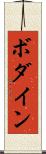 ボダイン Scroll