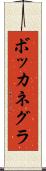 ボッカネグラ Scroll
