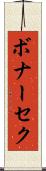 ボナーセク Scroll