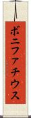 ボニファチウス Scroll