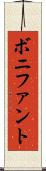 ボニファント Scroll