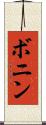 ボニン Scroll