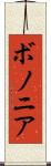 ボノニア Scroll