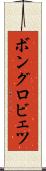 ボングロビェツ Scroll