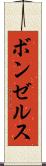 ボンゼルス Scroll