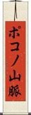 ポコノ山脈 Scroll
