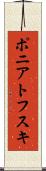 ポニアトフスキ Scroll