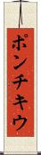 ポンチキウ Scroll