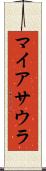 マイアサウラ Scroll