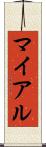 マイアル Scroll