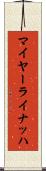 マイヤーライナッハ Scroll