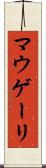 マウゲーリ Scroll