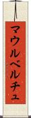 マウルベルチュ Scroll