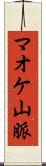 マオケ山脈 Scroll