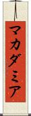 マカダミア Scroll
