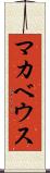 マカベウス Scroll