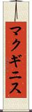 マクギニス Scroll
