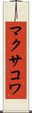マクサコワ Scroll