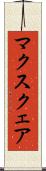 マクスクェア Scroll