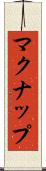 マクナップ Scroll