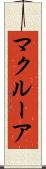 マクルーア Scroll