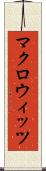 マクロウィッツ Scroll