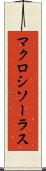 マクロシソーラス Scroll