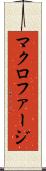 マクロファージ Scroll