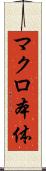 マクロ本体 Scroll