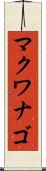 マクワナゴ Scroll