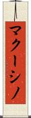 マクーシノ Scroll