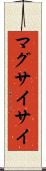 マグサイサイ Scroll