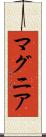 マグニア Scroll