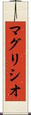 マグリシオ Scroll