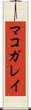 マコガレイ Scroll