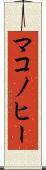 マコノヒー Scroll