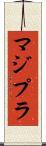 マジプラ Scroll