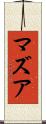 マズア Scroll