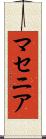 マセニア Scroll