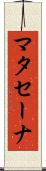 マタセーナ Scroll
