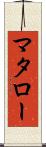 マタロー Scroll