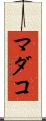 マダコ Scroll