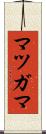 マツガマ Scroll