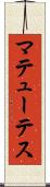 マテューテス Scroll