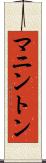 マニントン Scroll