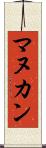 マヌカン Scroll