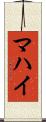 マハイ Scroll
