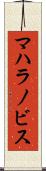 マハラノビス Scroll